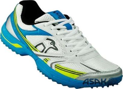 sport shoes cricket + purchase price, uses and properties